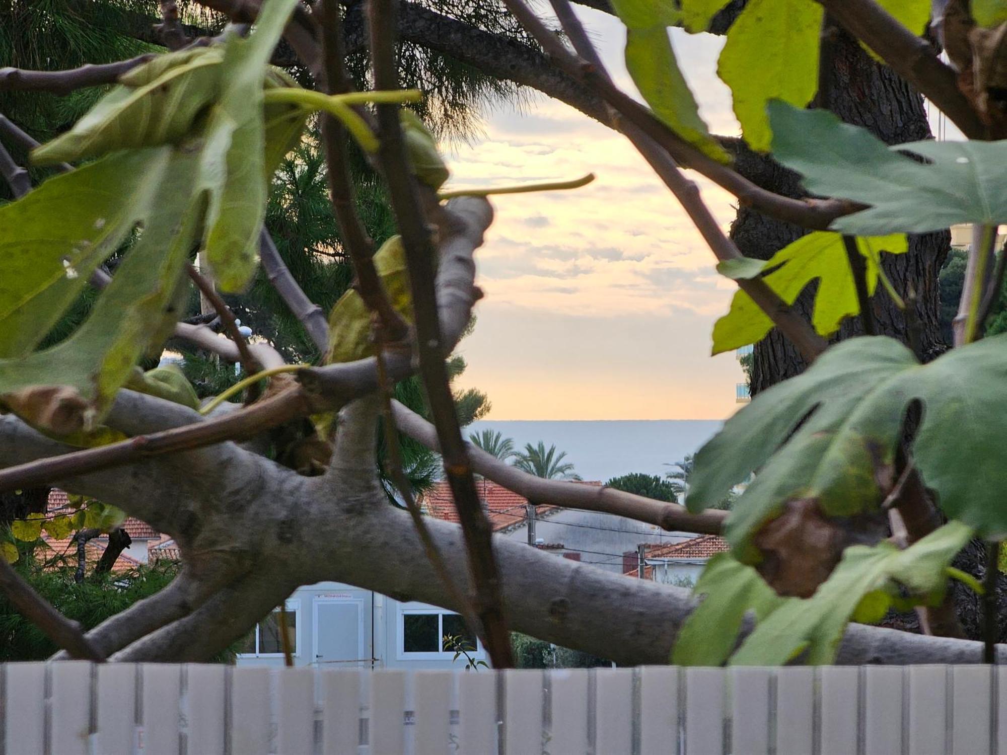Detente Oceane S2 Proche De La Mer Wifi Clim Cagnes-sur-Mer Extérieur photo